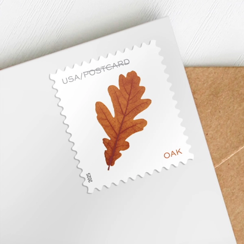 2025 Vibrant Leaves Postcard Stamps, Sheetof 20 Postcard |Multiple Stamp Designs and Formats