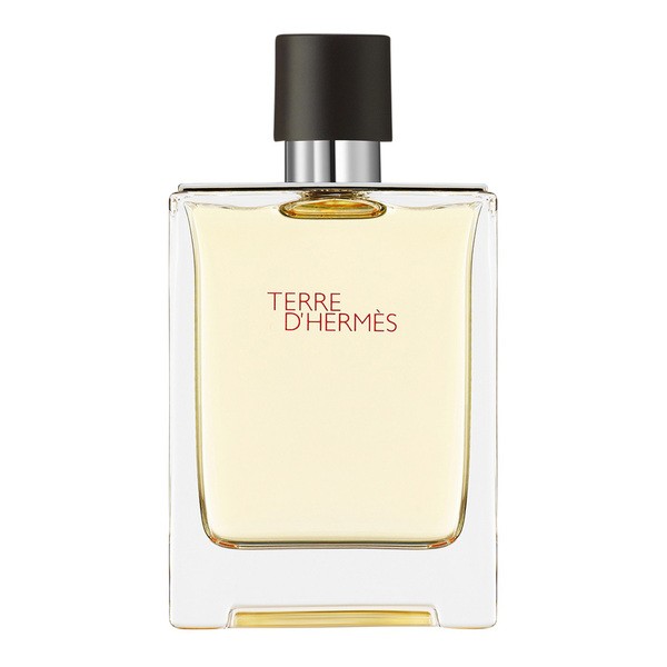 Hermes, Terre d'hermes, woda toaletowa, spray, 100 ml