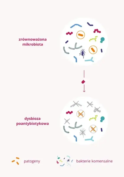 Omni Biotic 10 AAD, saszetki z proszkiem, 5 g x 10 szt.