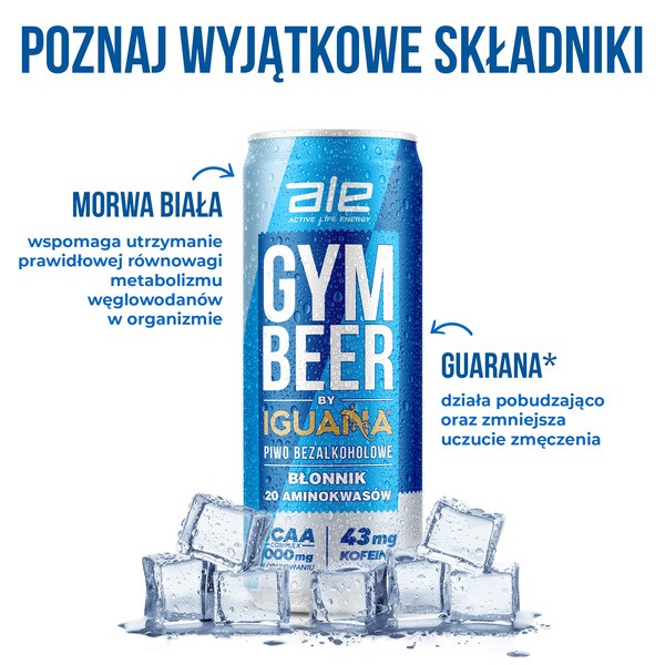 Zestaw 24 x ALE Gym Beer by Iguana