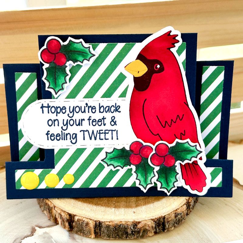 More Winter Birds Clear Stamp Set of 12