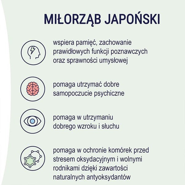 Naturell Gingko Intensive, tabletki, 60 szt.