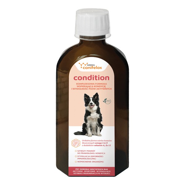 Yarrowia Canifelox condition, płyn, 150 ml