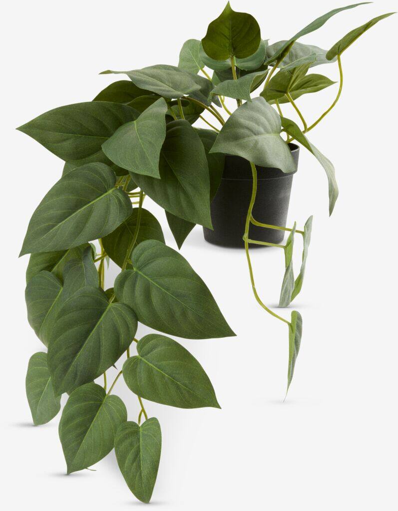 ANDERSEN Kunstig plante ANDERSEN H20cm grøn ophæng med potte