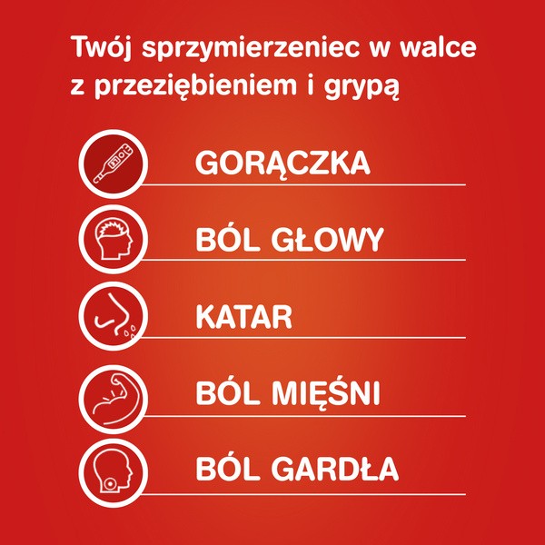 Gripex Hot MAX, proszek do sporządzania roztworu doustnego, 12 saszetek