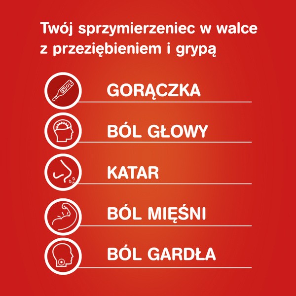 Gripex Hot, proszek do sporządzania roztworu doustnego, 12 saszetek