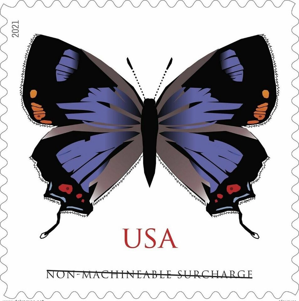 (2021) USPS Colorado Hairstreak Forever Postage Stamps