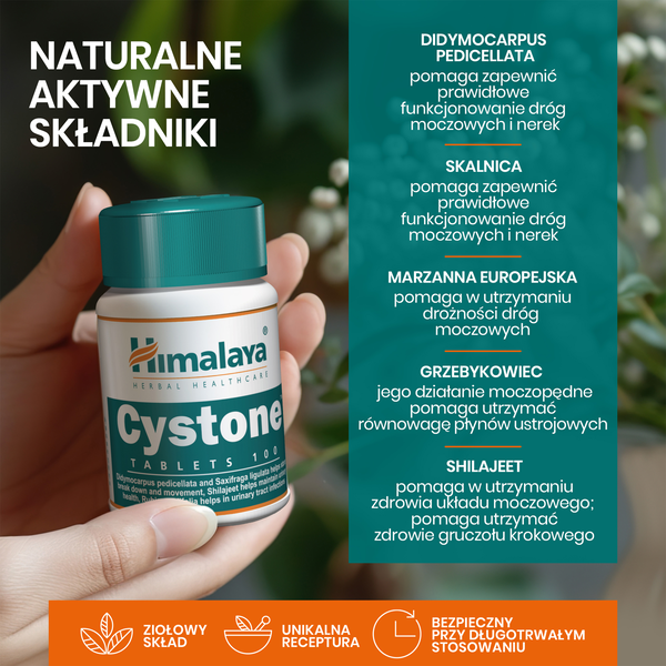 Himalaya Cystone, tabletki, 100 szt.