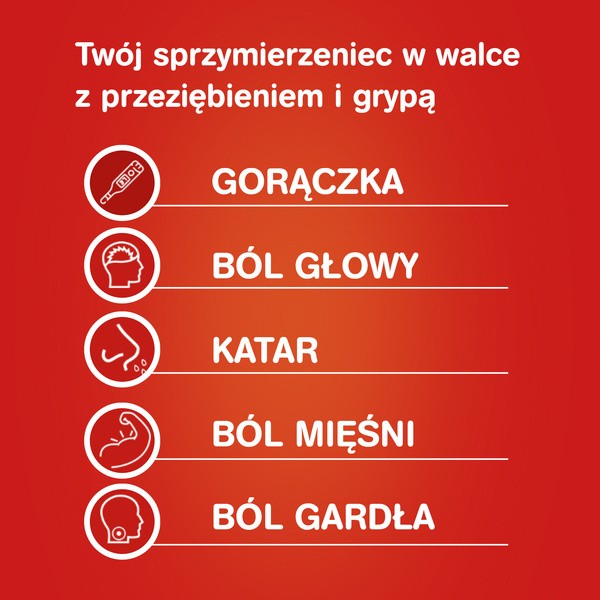 Gripex Hot MAX, proszek do sporządzenia roztworu doustnego, 8 saszetek