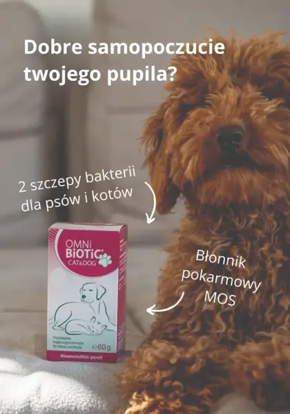 OMNi-BiOTiC CAT&DOG, proszek, 60 g