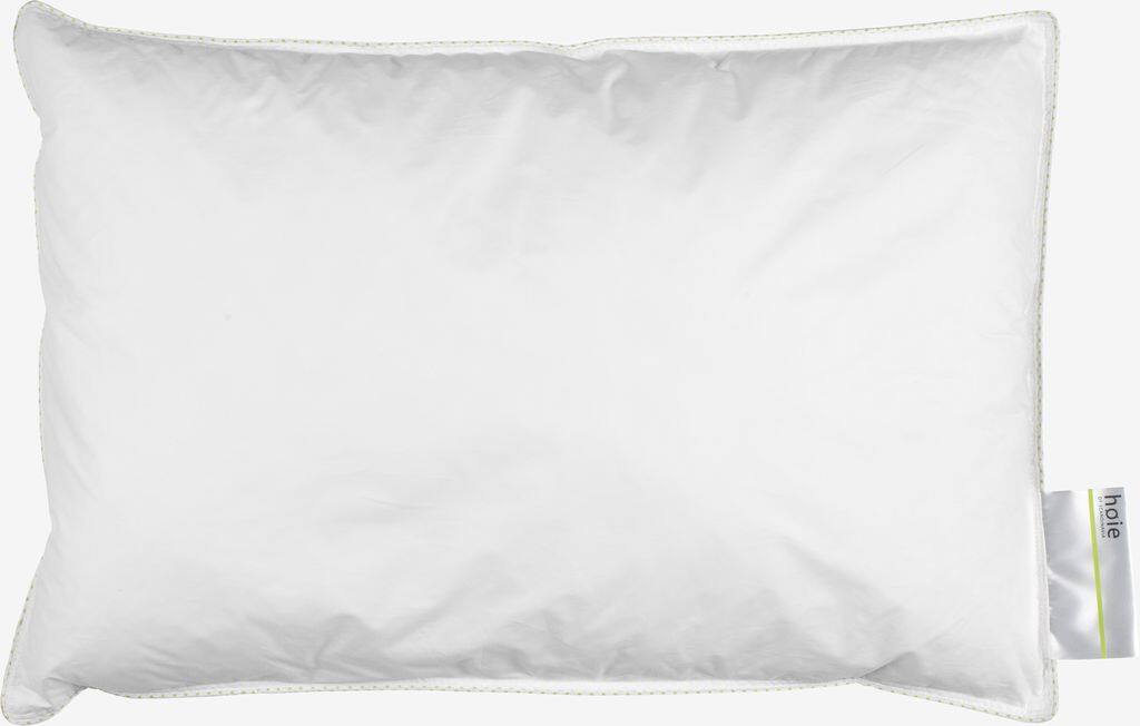 CLEAN Gold Junior 40x60 High CLEAN Fiberpude