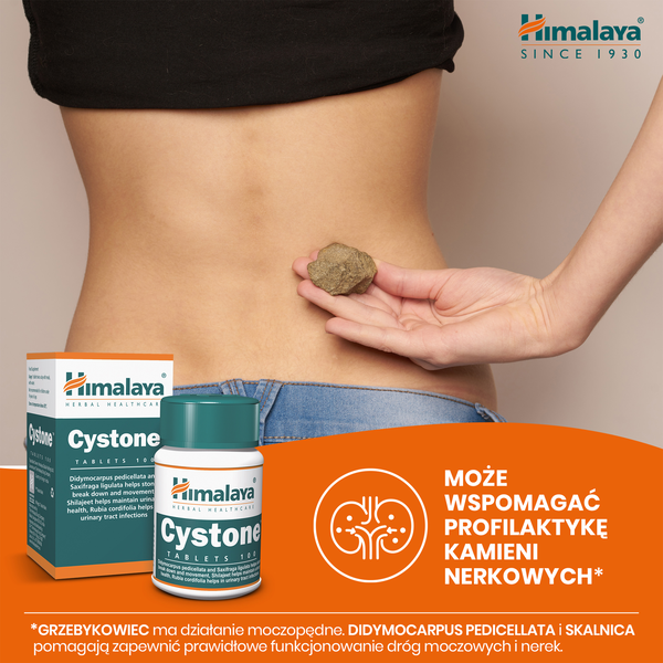 Himalaya Cystone, tabletki, 100 szt.