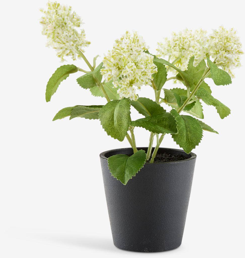 DANIEL Kunstig plante DANIEL Ø10xH22cm med potte