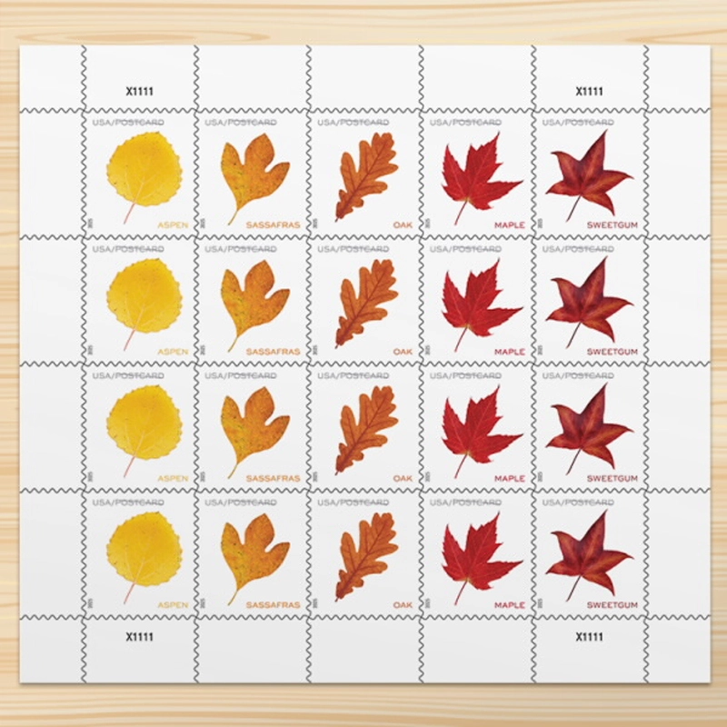 2025 Vibrant Leaves Postcard Stamps, 1 Roll of 100 Pcs Postcard |Multiple Stamp Designs andFormats