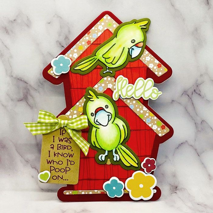 morebirds2stamp Clear Stamp Set of 9