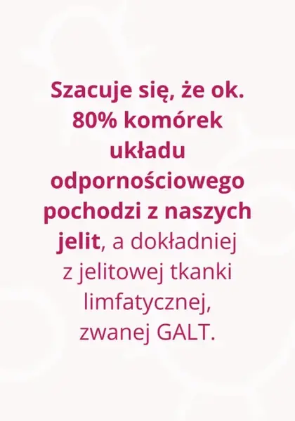 Omni Biotic 6, saszetki z proszkiem, 3 g x 60 szt.