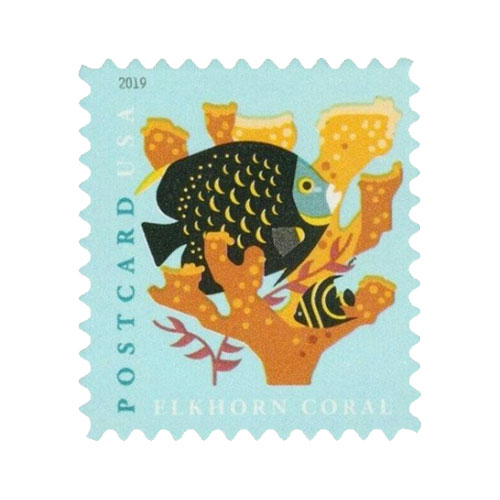 (2019) USPS Coral Reefs Postcard First Class Forever Postage Stamps