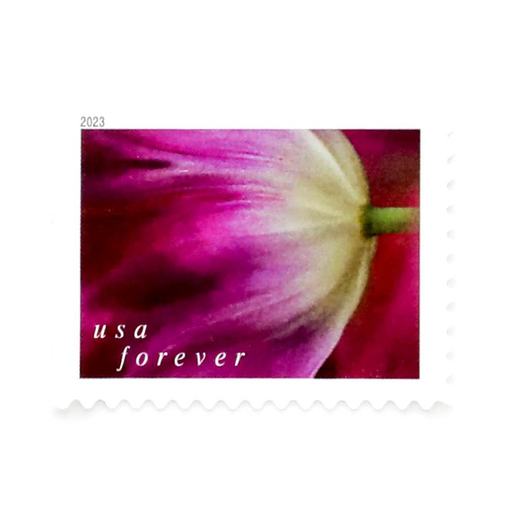 2023 US Tulip Blossoms First-Class Forever Stamps