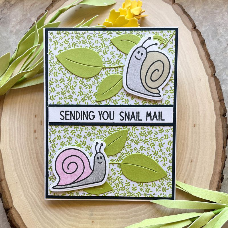 solids4snails Clear Stamp Set