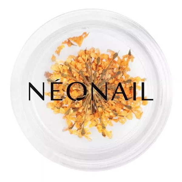 NeoNail, ozdoby do paznokci, kwiaty, orange, 1 szt.