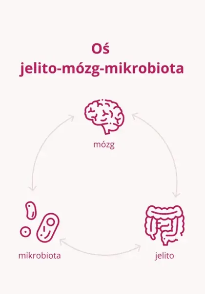 Omni Biotic Stress Repair 9, saszetki z proszkiem, 3 g x 7 szt.