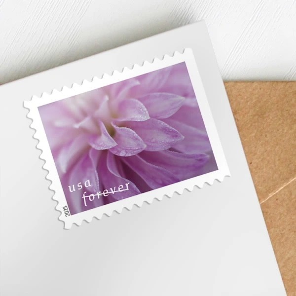 2025 Dahlias Stamps Book of 20
