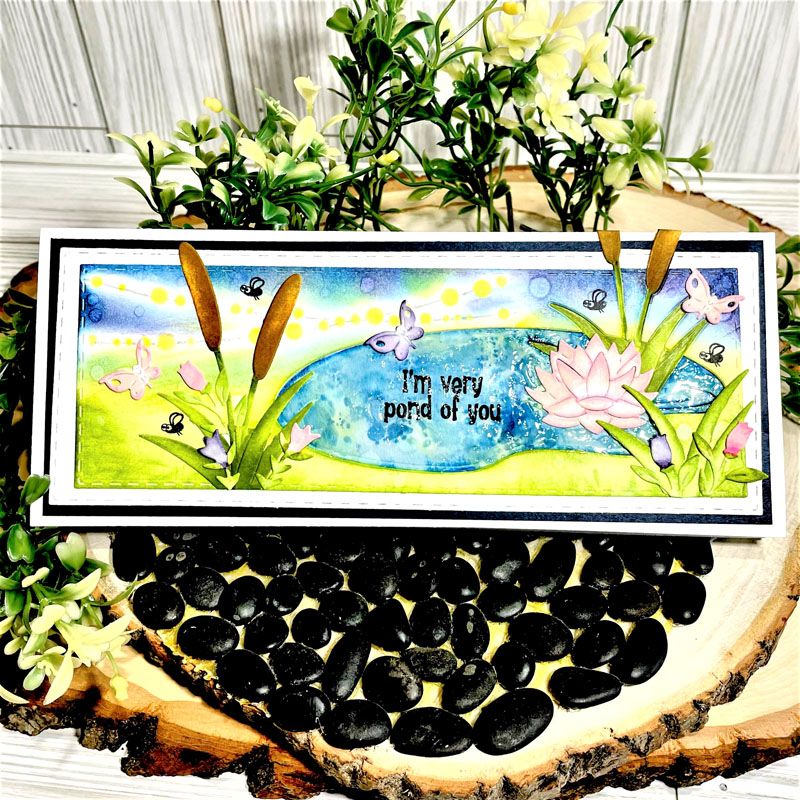 sayings4frog Clear Stamp Set