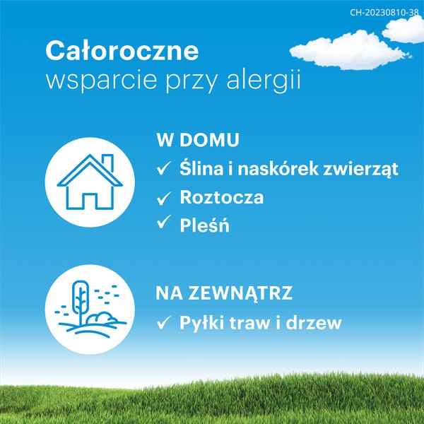 Claritine Active, 5 mg + 120 mg, tabletki o przedłużonym uwalnianiu, 6 szt.