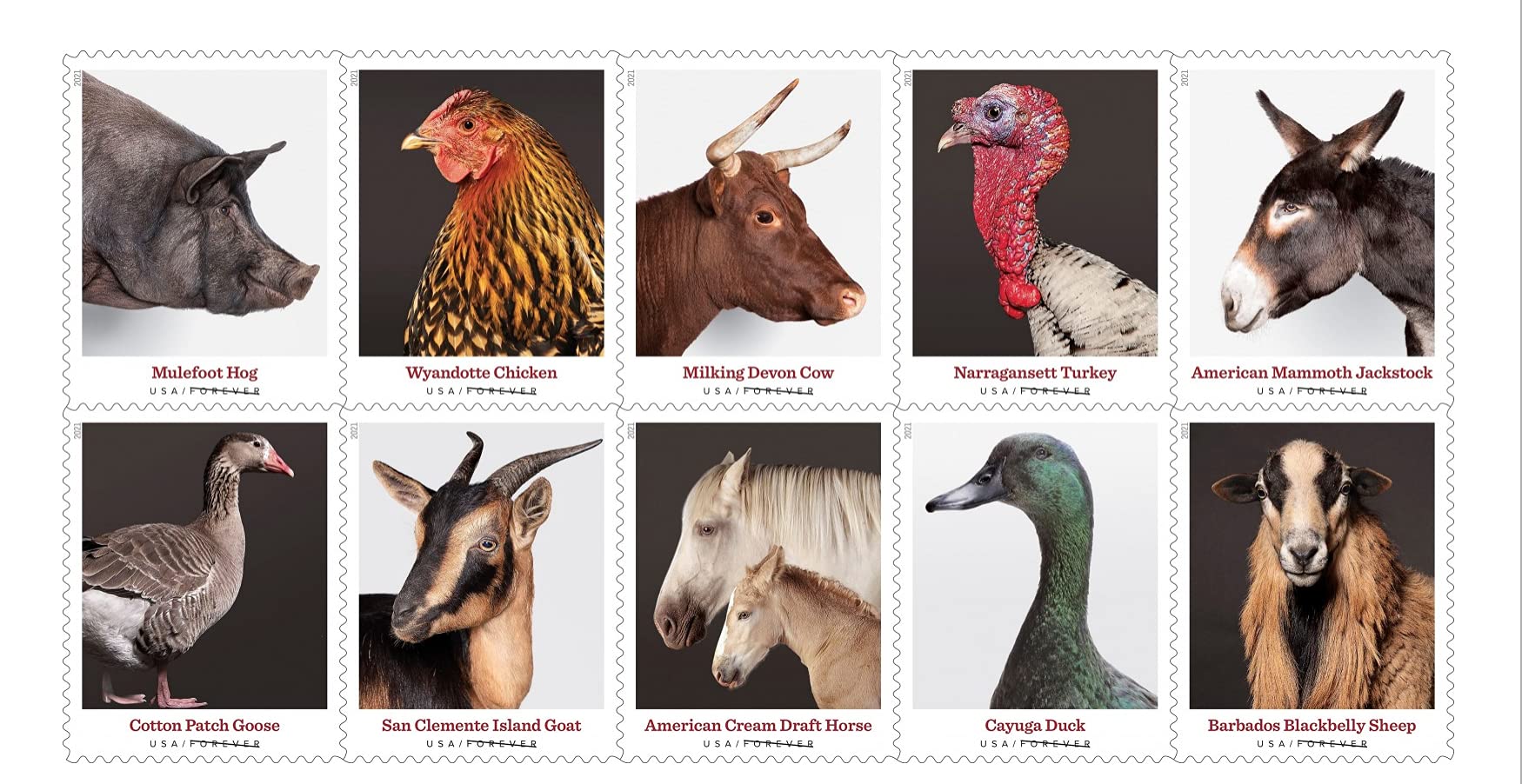 2021  US New Heritage Breeds Forever Postage Stamps