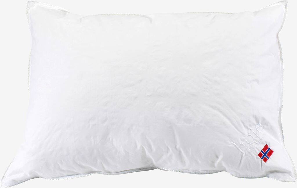 TOR Gold Musk sanddun juniorpude 40x60 Høj TOR