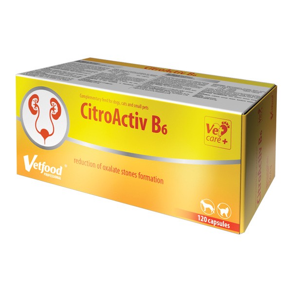 Vetfood Citroactiv B6, preparat wspomagający ograniczenie tworzenia się kamieni szczawianowo-wapniowych dla psów i kotów, kapsułki, 120 szt.