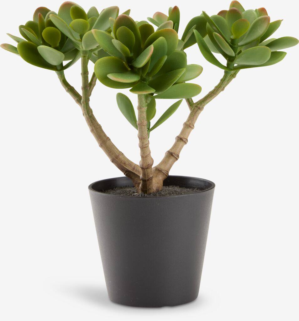 JOSTEIN Kunstig plante JOSTEIN H23cm grøn