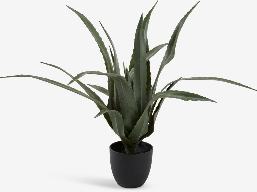 CELIUS Kunstig plante CELIUS H65cm aloe