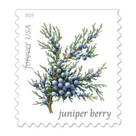 (2019) USPS Winter Berries First Class Forever Postage Stamps