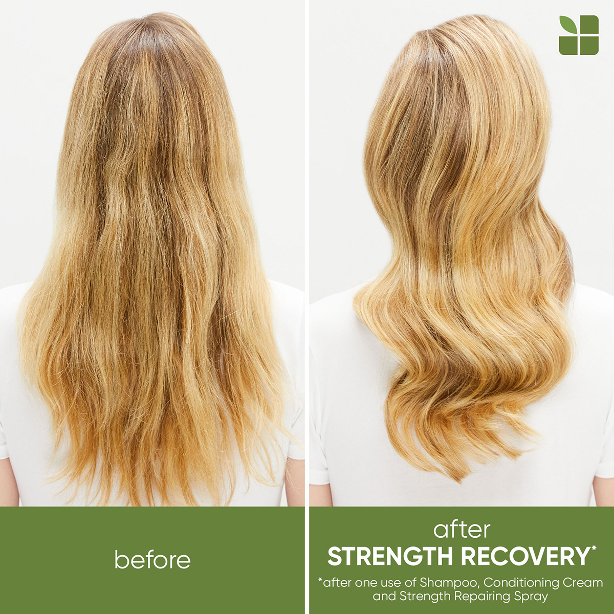 Biolage Strength Recovery Routine For Damaged Hair With Recovery Spray