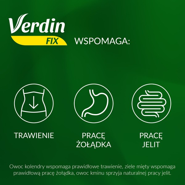 Verdin Fix, saszetki, 20 szt.