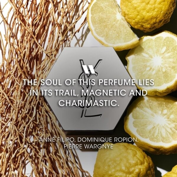 Yves Saint Laurent, L'homme, woda toaletowa, spray, 100 ml