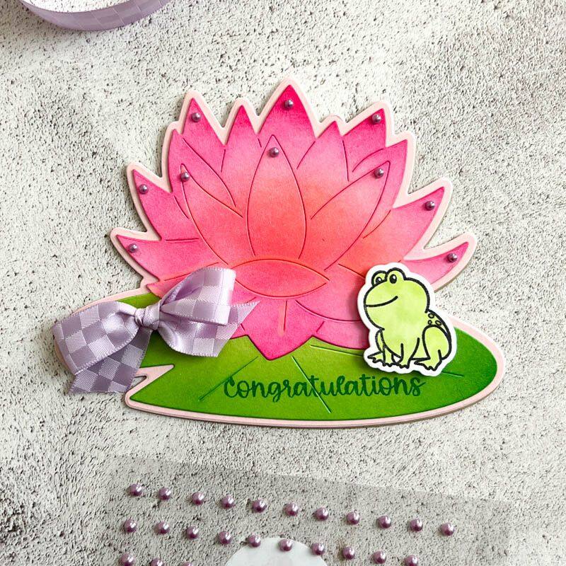 Frogs Kit Clear Stamp Set