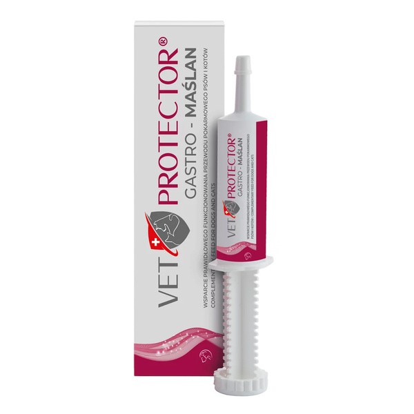 Vet Protector Gastro-Maślan, preparat wspierający funkcjonowanie przewodu pokarmowego dla psa i kota, pasta, 60 ml