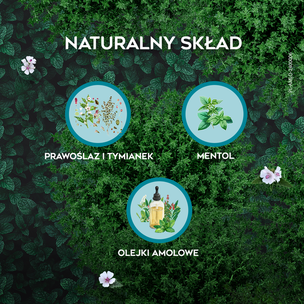 AMOLowe na gardło, ziołowe pastylki do ssania, 16 szt.