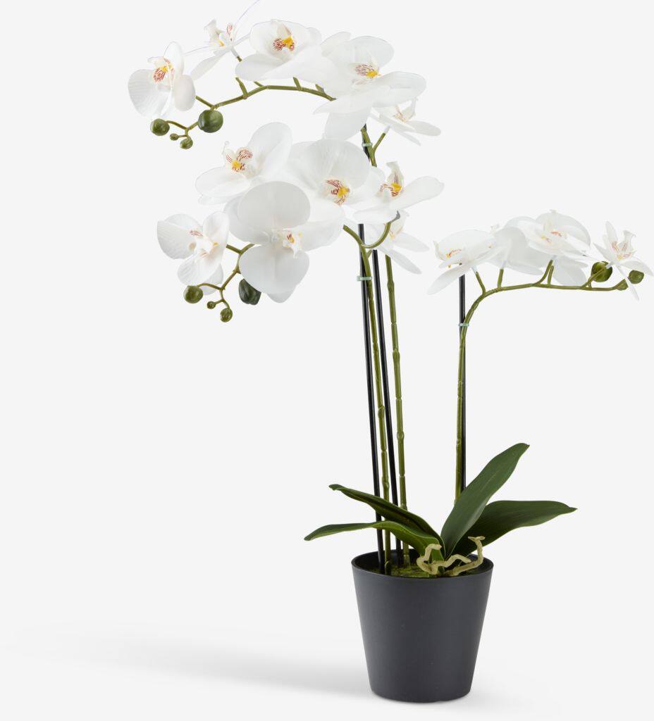 MATINUS Kunstig plante MATINUS H62cm med blomster