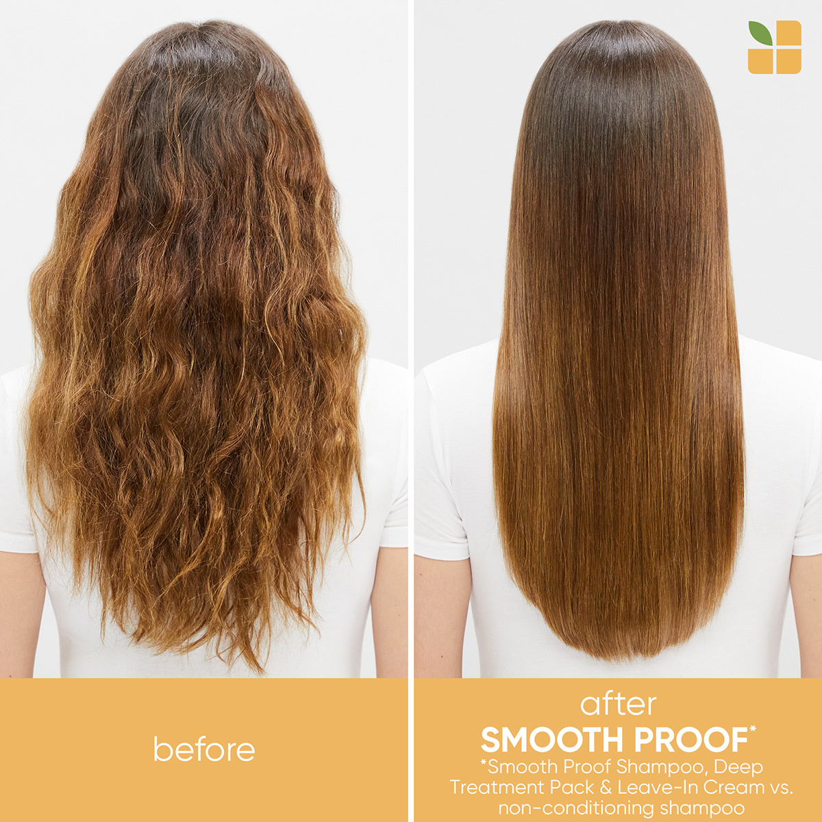 Biolage SmoothProof Routine For Frizzy Hair With Oil