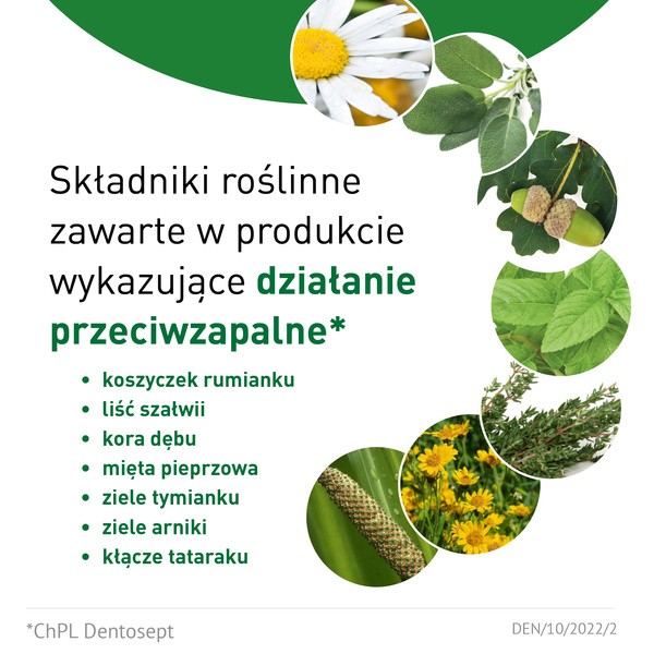 Dentosept, płyn do stosowania w jamie ustnej, 100 ml