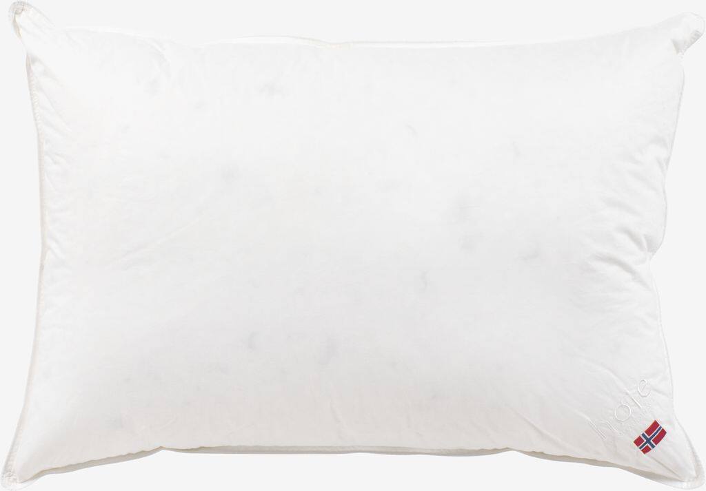 ASK guld andedunspude 50x70 Høie ASK