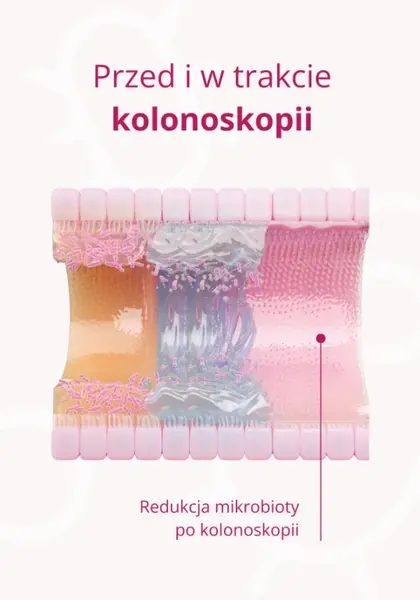 Omni Biotic Colonize, saszetki z proszkiem, 28 szt.