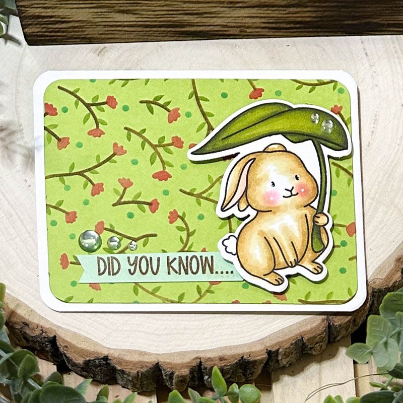 moregardenbunny2stamp Clear Stamp Set