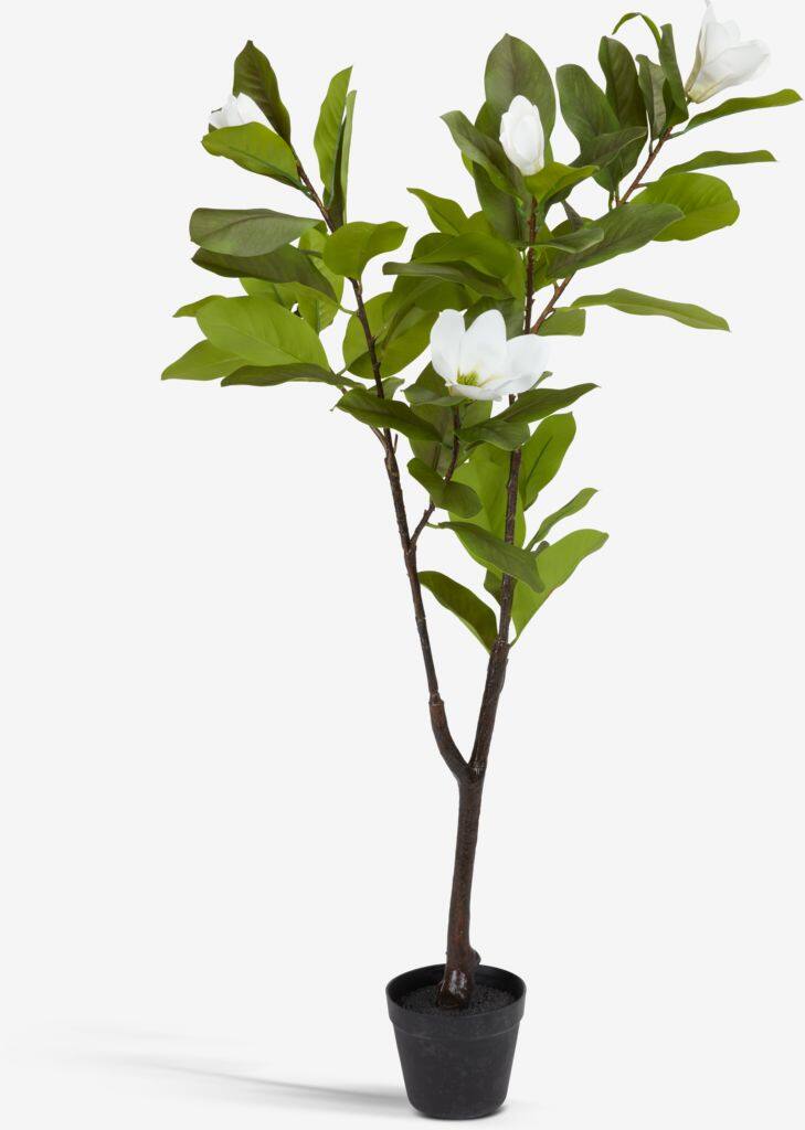 SPINDEL Kunstig plante SPINDEL H120cm magnolia