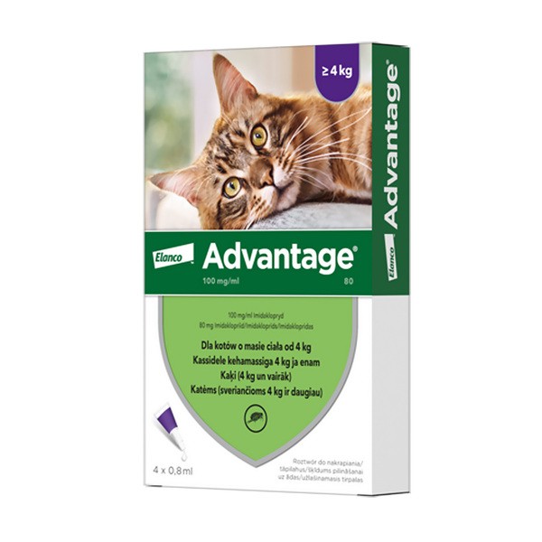 Advantage 80, 100 mg/ml, krople przeciw pchłom dla kotów powyżej 4 kg, 0,8 ml x 4 szt.