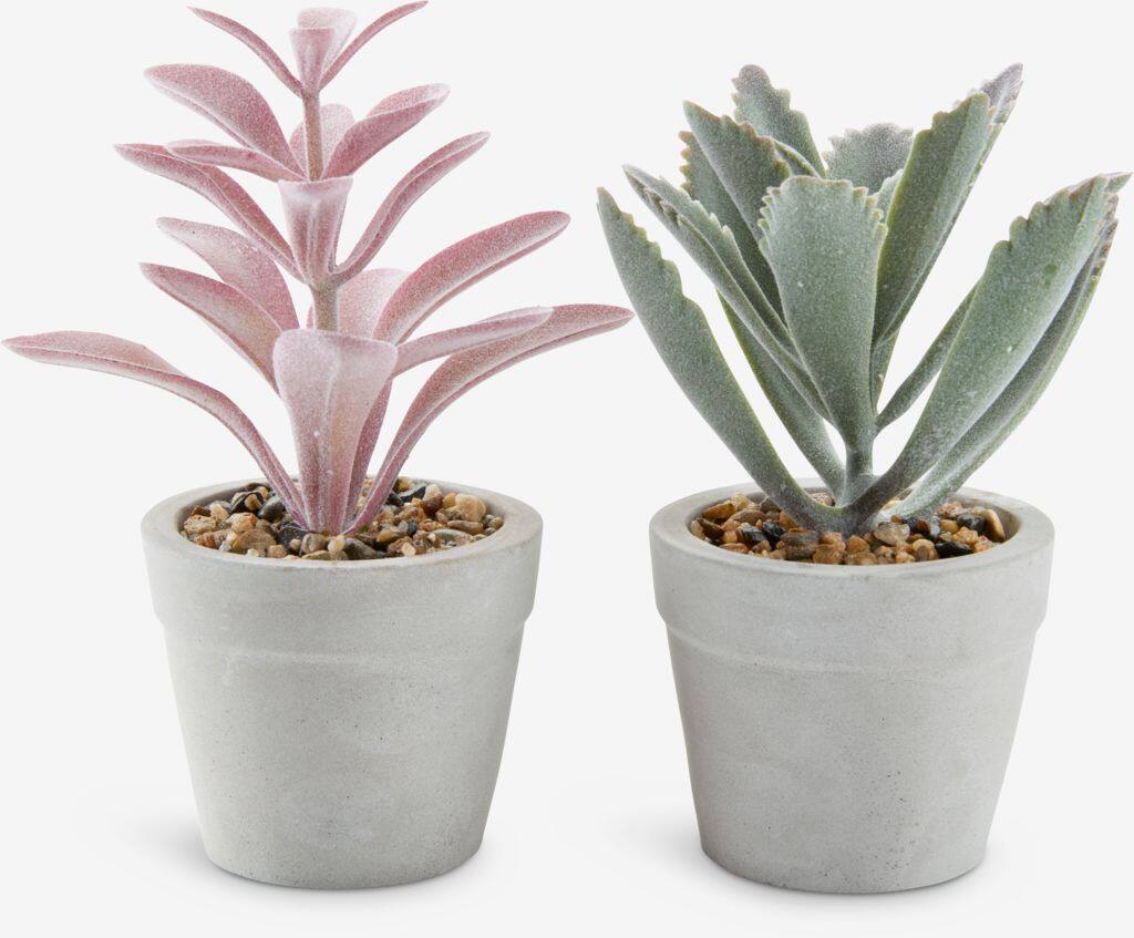 LOVE Kunstig plante LOVE Ø7xH15cm assorteret.