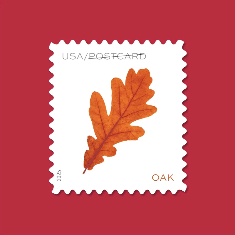 2025 Vibrant Leaves Postcard Stamps, Sheetof 20 Postcard |Multiple Stamp Designs and Formats